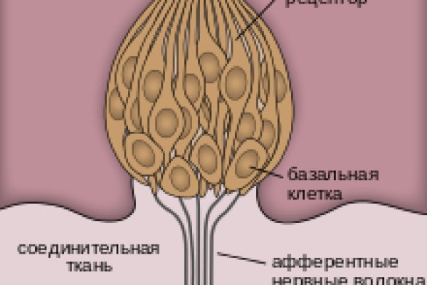 Площадки в даркнете