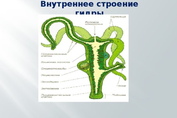 Как зайти на кракен в торе